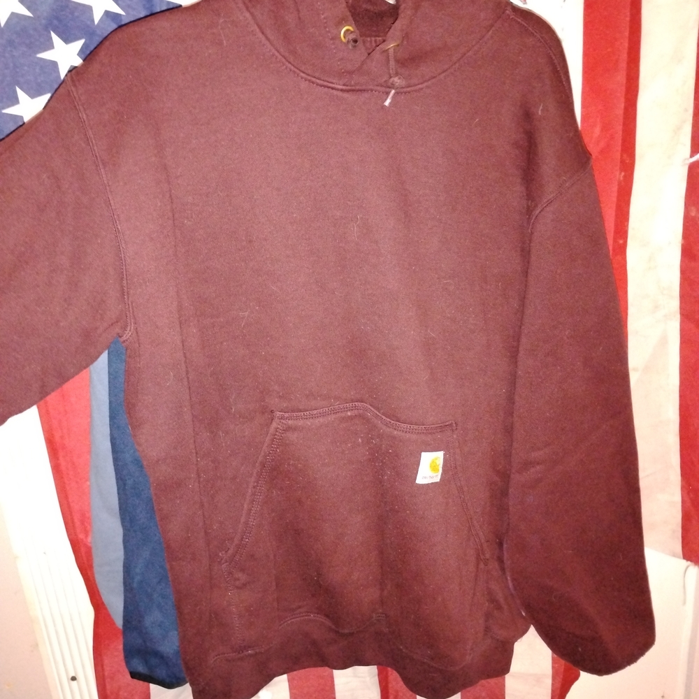 Carhartt Men's Brown Hoodie
